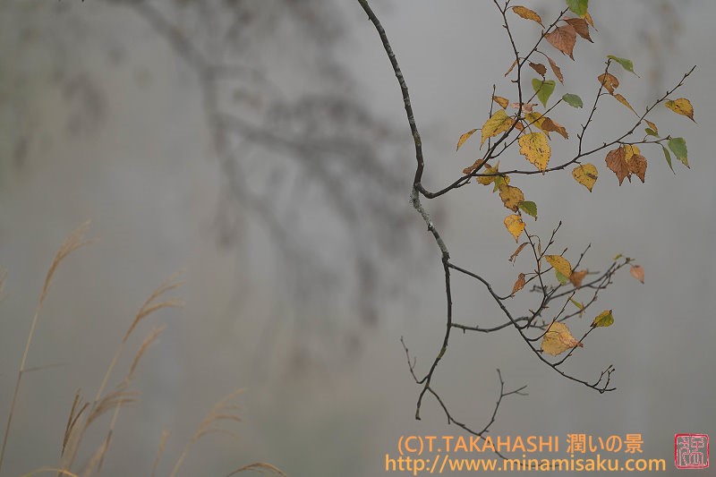 ../Images/7R251019 (199).jpg